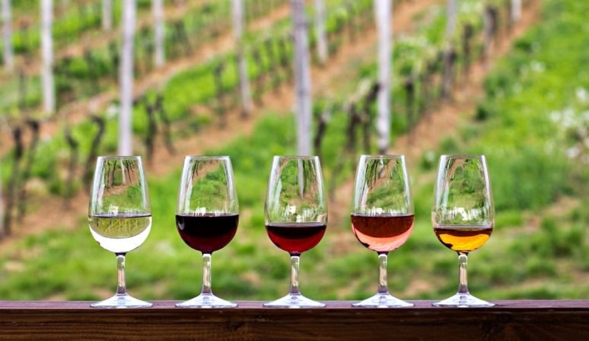 Holtkamp winery Wine and fire works Photo
