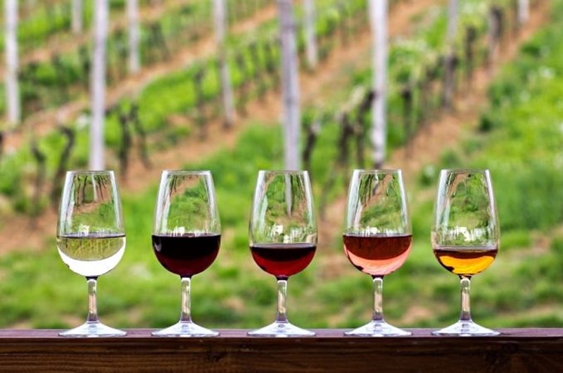 Annual Ertel Cellars Winery Festival Photo
