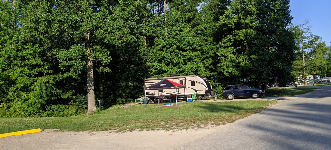 Partial shady site morning afternoon shade