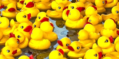 Duck Race