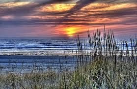 Ocean Beaches