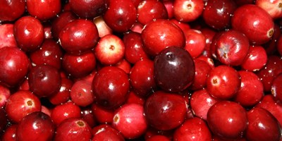 Cranberry Harvest Weekend