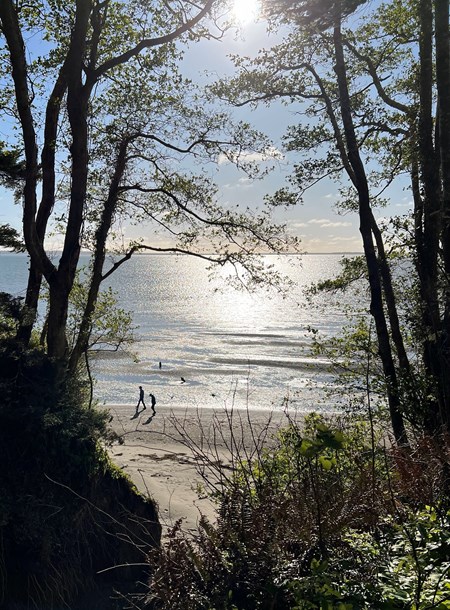 Bay Center / Willapa Bay KOA Holiday
