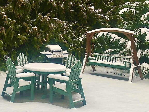 Deluxe Cabin Patio