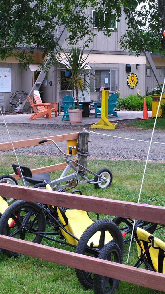 Banana Bikes for rent & Patio for relaxing
