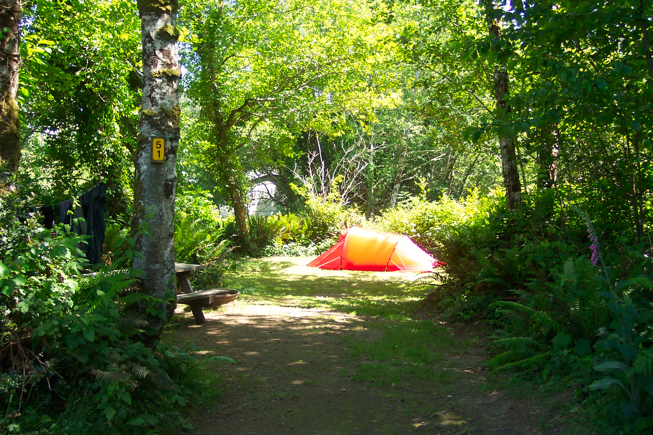 Bay Center, Washington Tent Camping Sites Bay Center / Willapa Bay