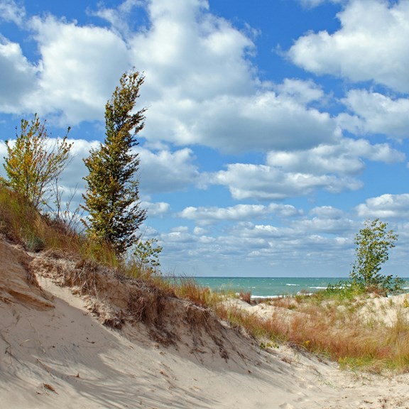 Lake Michigan Beaches