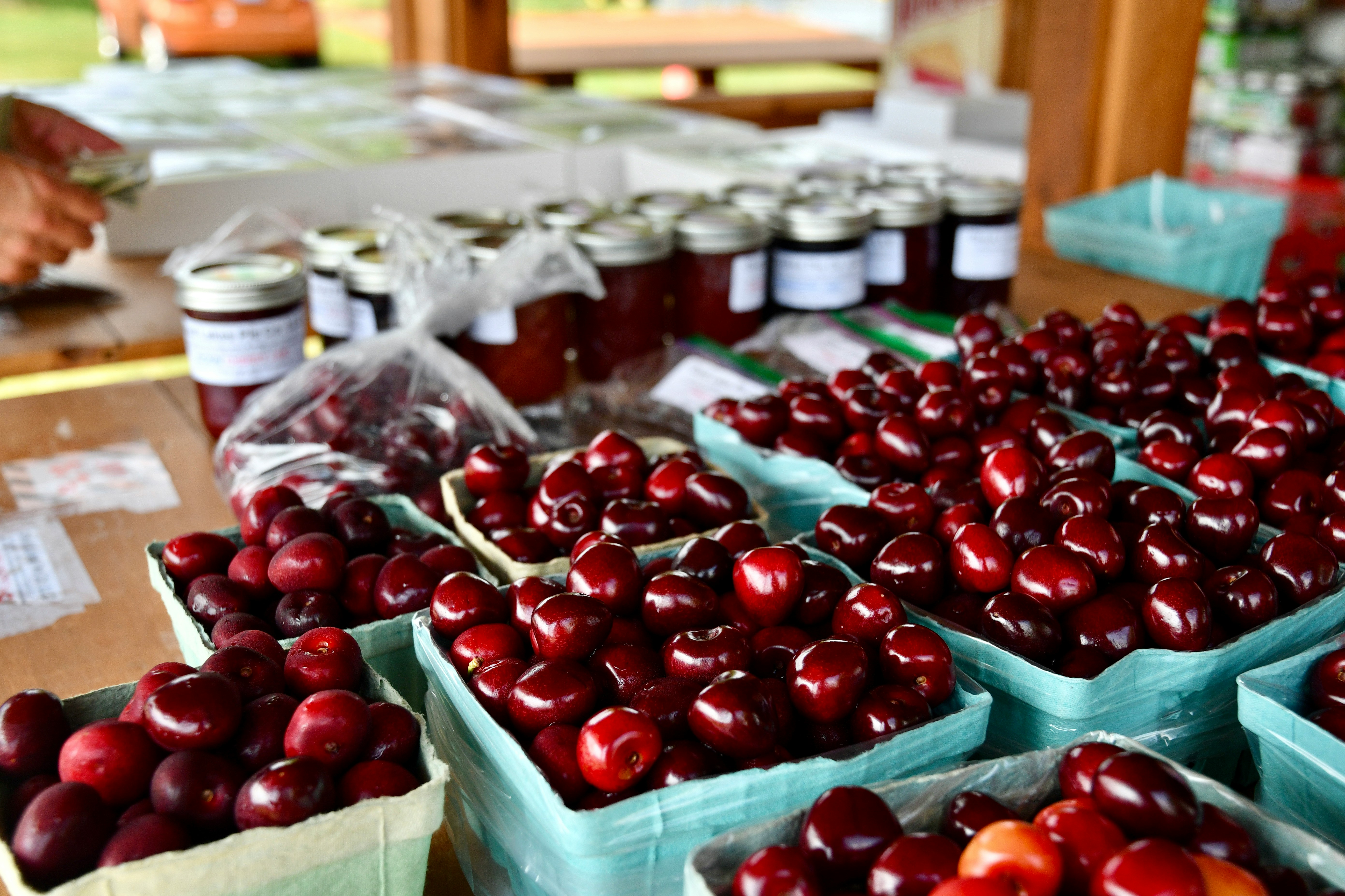 100th National Cherry Festival Photo