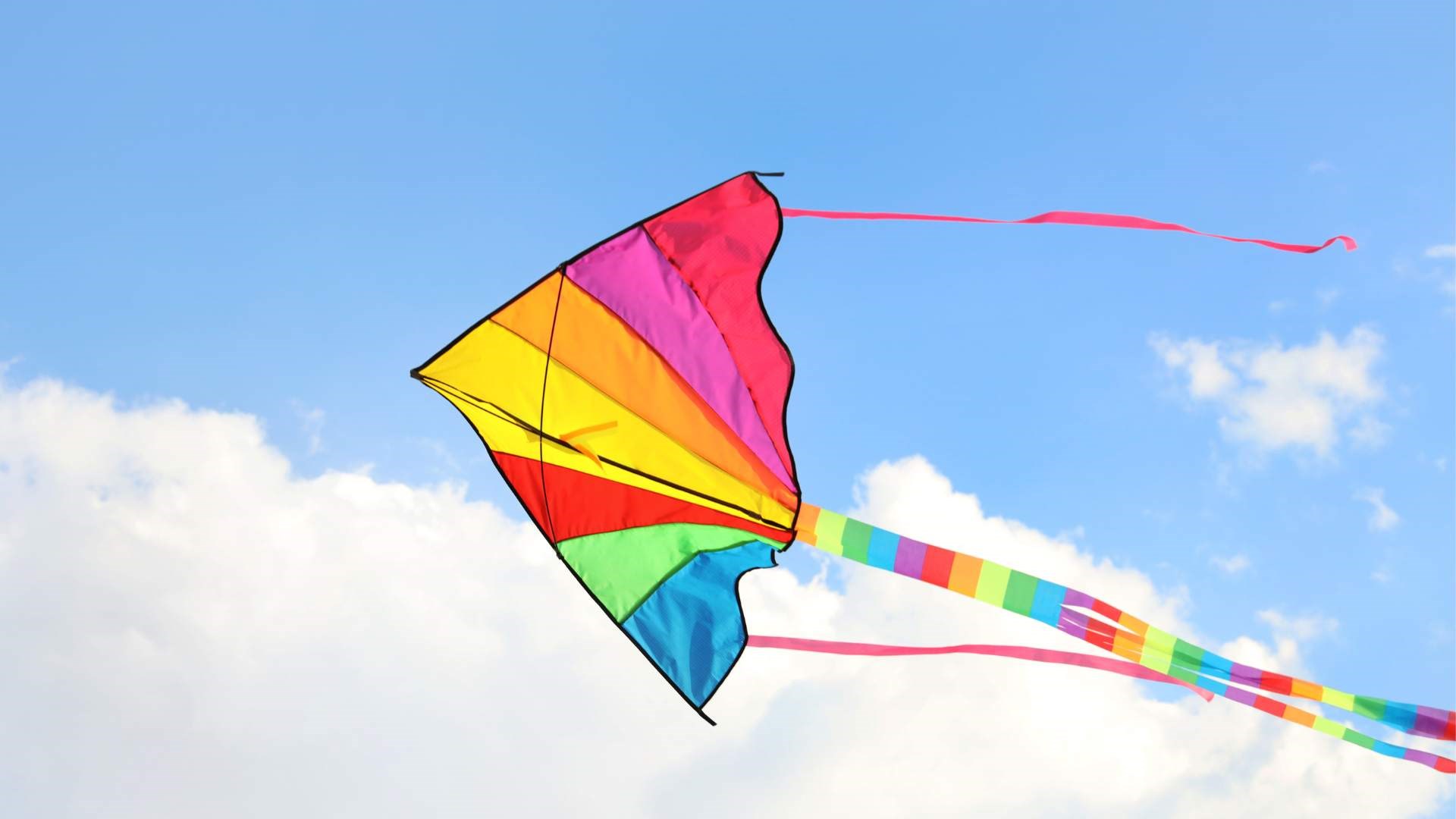 Let's Go Fly a Kite Photo