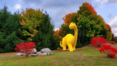 Bear Lake / Manistee KOA Holiday