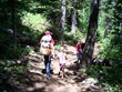 Hiking Trails