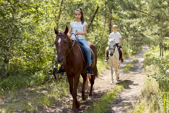 Pony Express Horseback Trail Rides