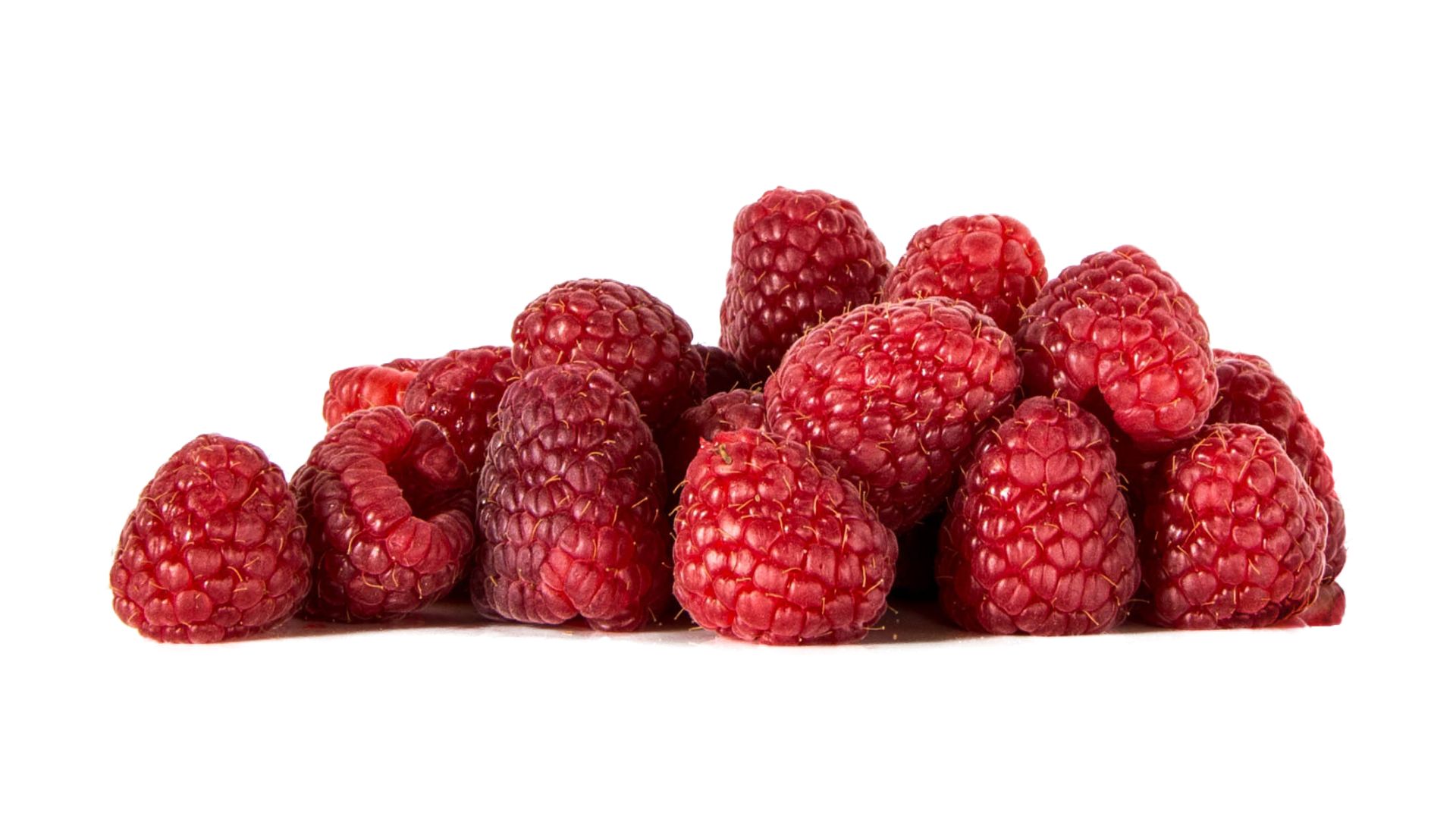Bear Lake Raspberry Days Photo