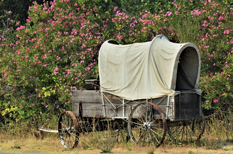 Pioneer Day Weekend Photo