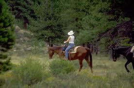 Horseback Riding
