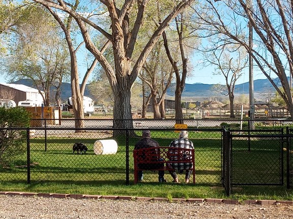 Grassy Dog park opened Spring 2024