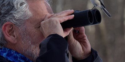Birding in Beaver
