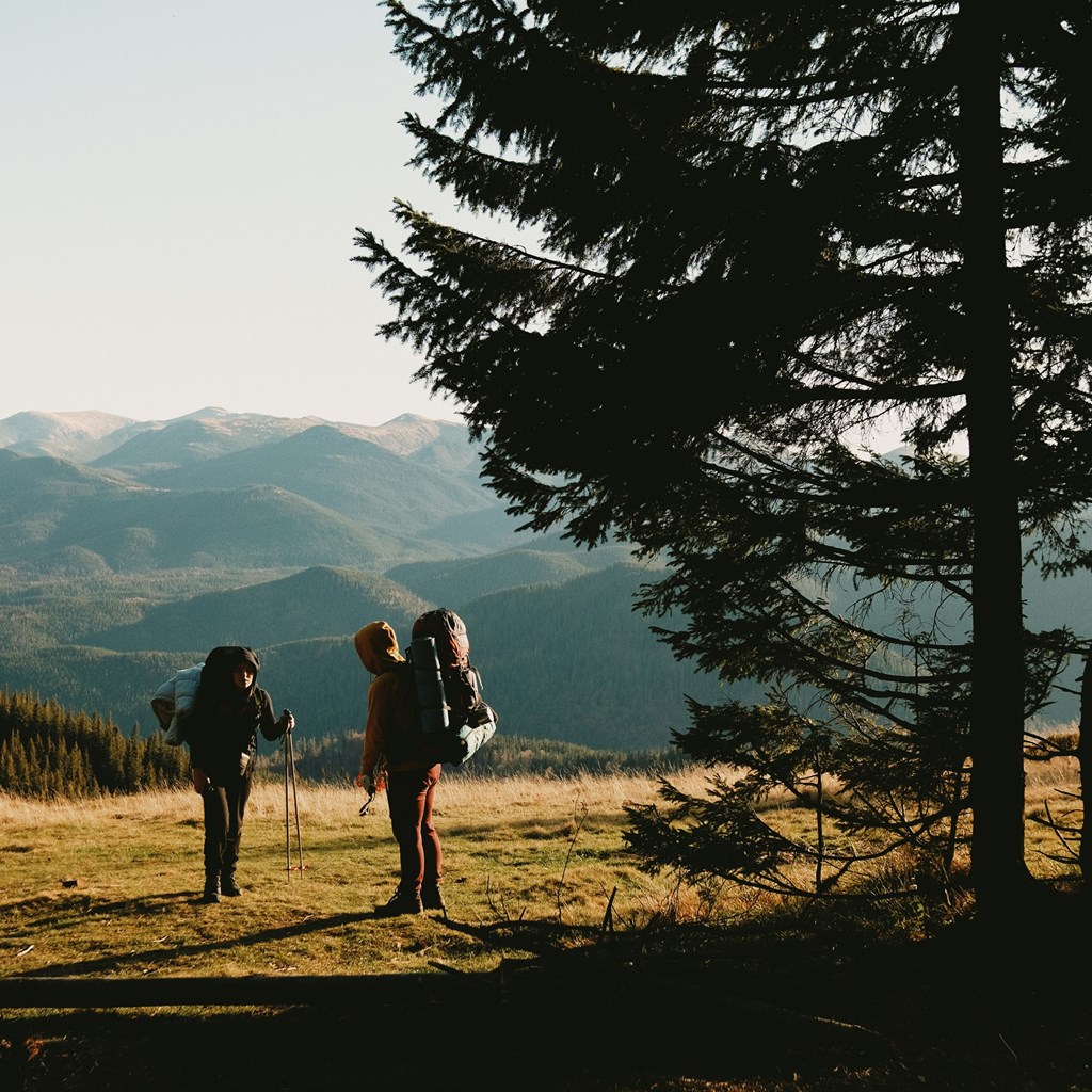 Discover the Magic of Hiking in Beaver, Utah