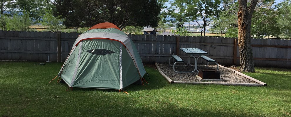 grassy tent sites