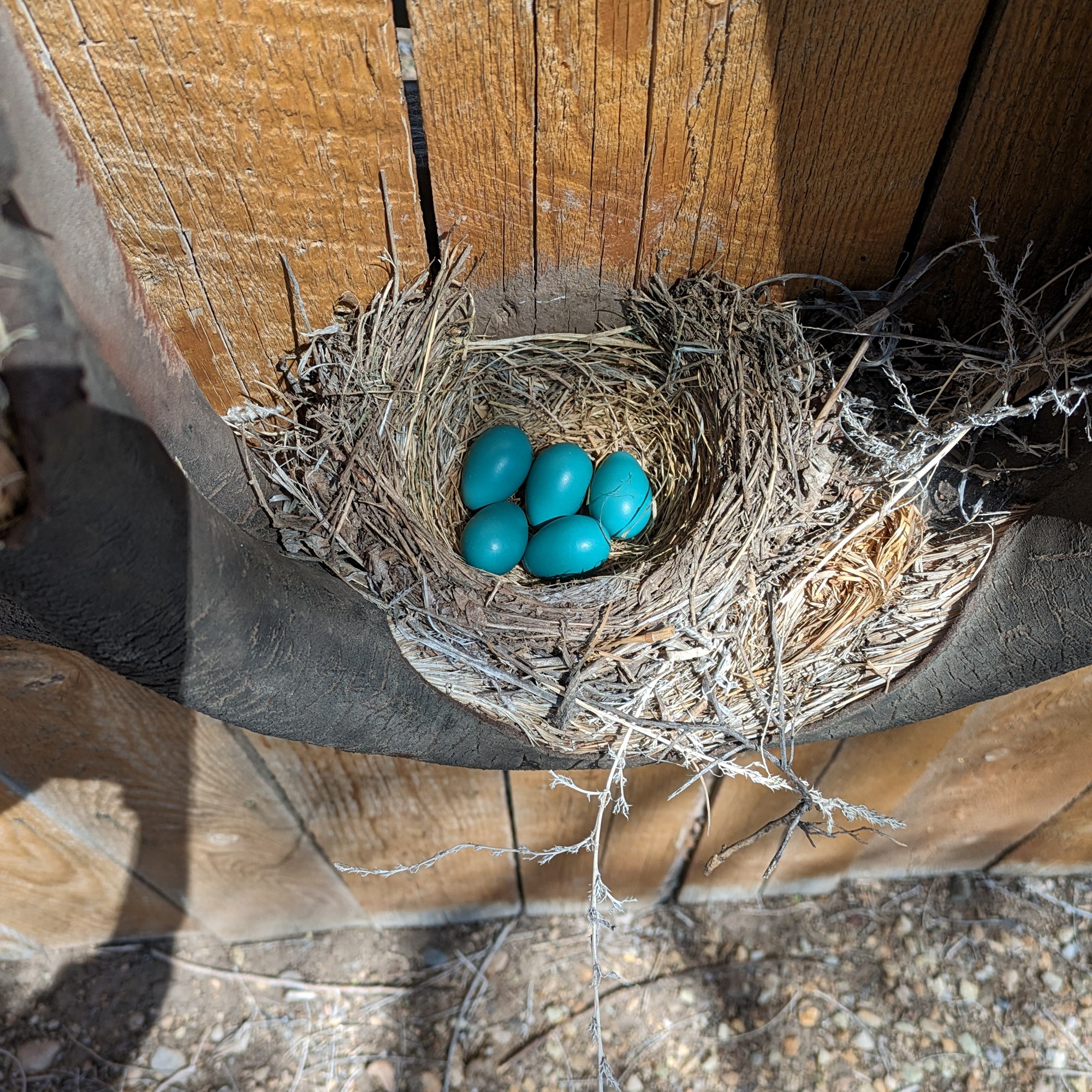 Beaver, Utah Camping Photo Albums Beaver KOA Journey