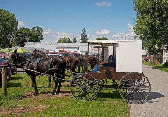 Belleville Amish Market