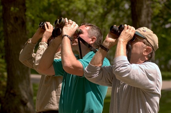 Bird watch