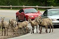 South Dakota Scenic Byways