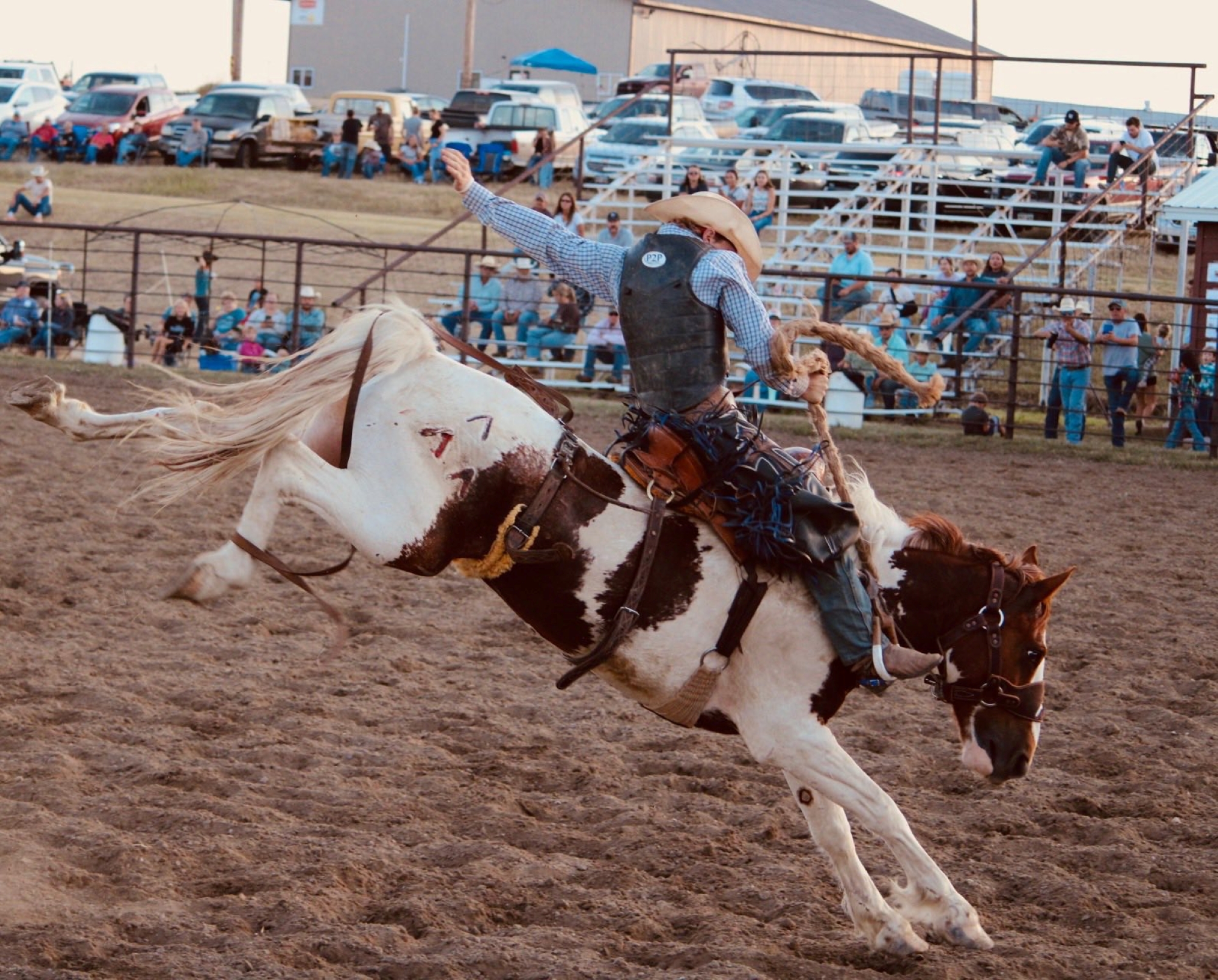 Murdo Ranch Rodeo & Gumbo Ridge Bronc Ride Photo