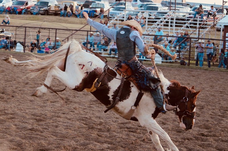 Murdo Ranch Rodeo & Gumbo Ridge Bronc Ride Photo