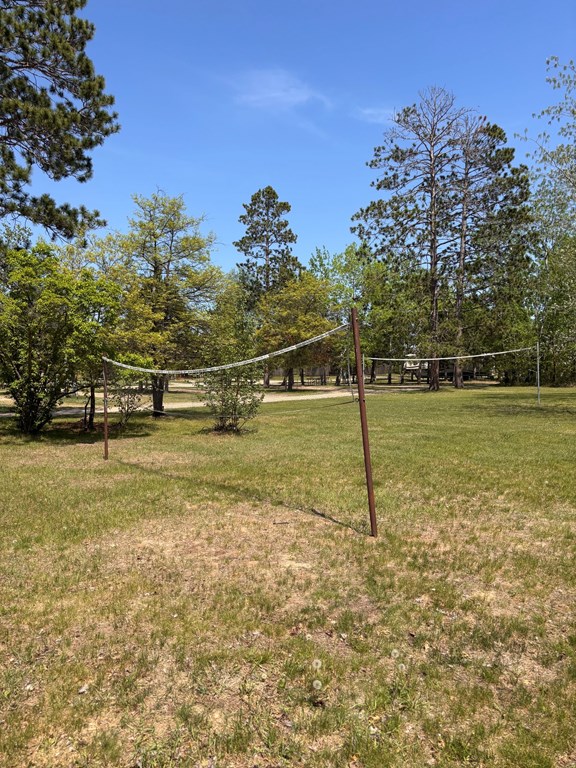 Volleyball