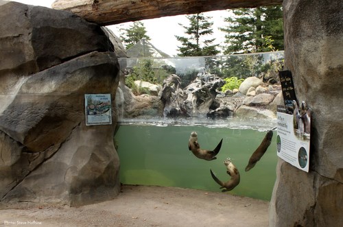 Sequoia Park Zoo