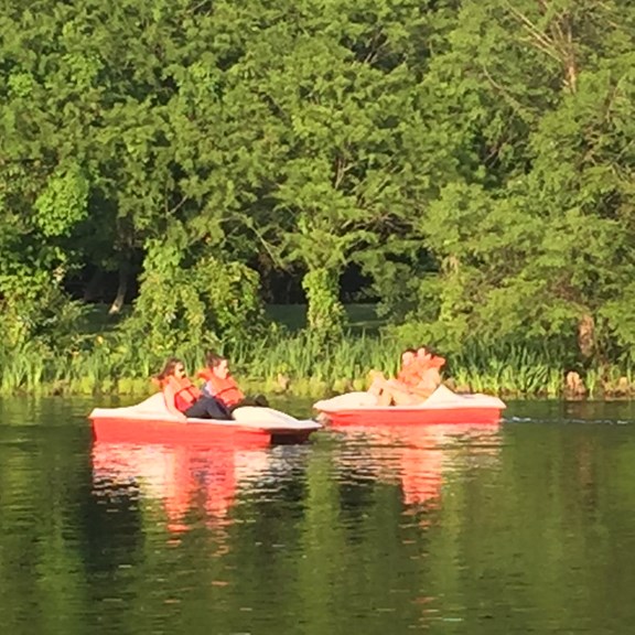 Paddle Boats