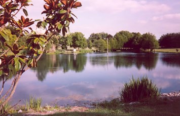 Illinois Camping Locations Koa Campgrounds