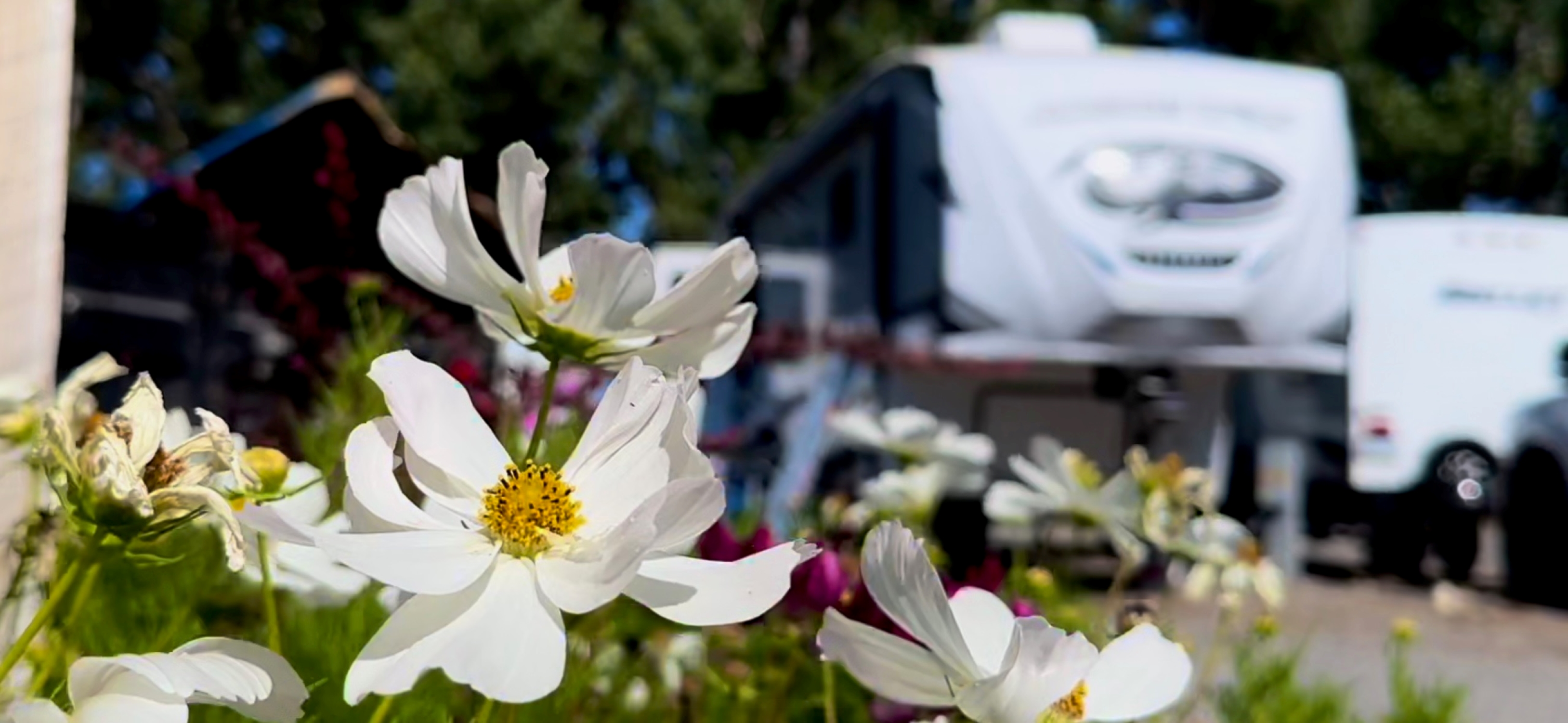 Big Timber, Montana Campground Big Timber / Greycliff KOA Journey