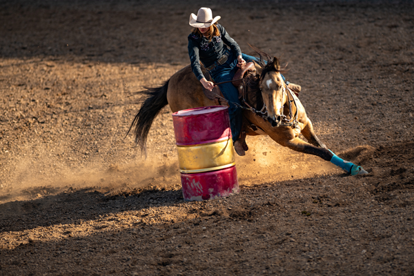 The NILE Stock Show and Rodeo Photo