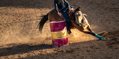 The NILE Stock Show and Rodeo