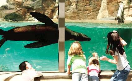 Ft. Wayne Childrens Zoo & Aquarium
