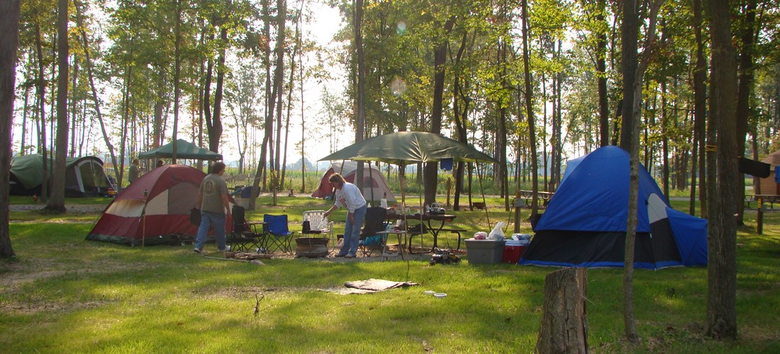 Shady spacious Tent sites are raised eliminating flooding