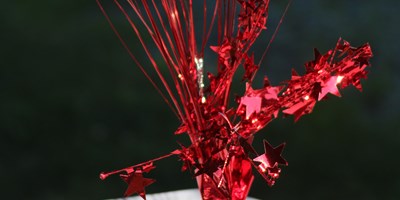 America 250 Celebrations in Boone and the High Country