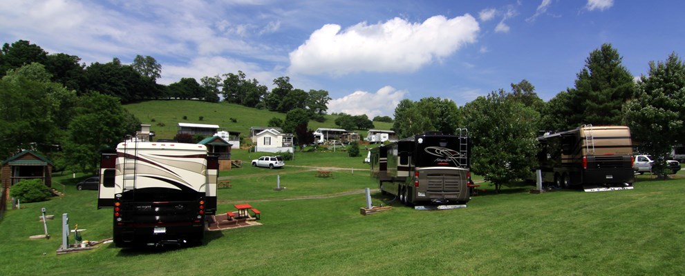 Large Grassy Back-in Sites