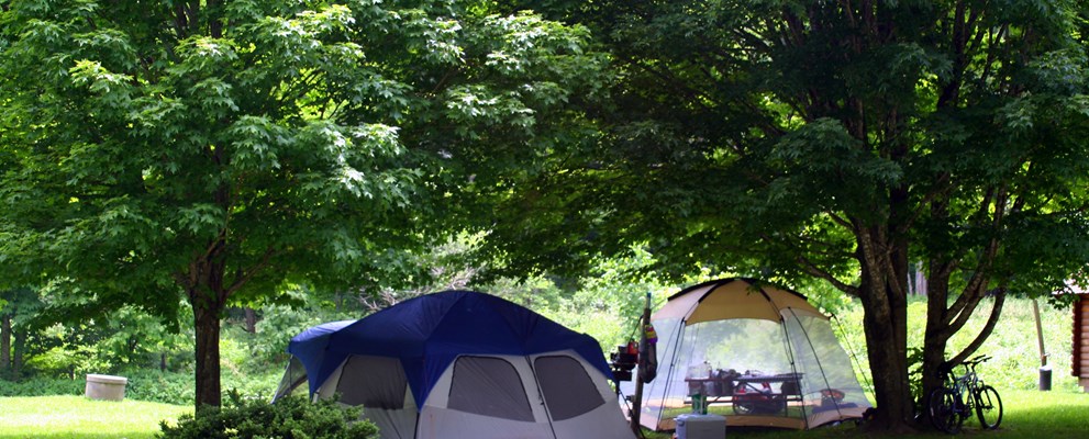 Tent site no shelter