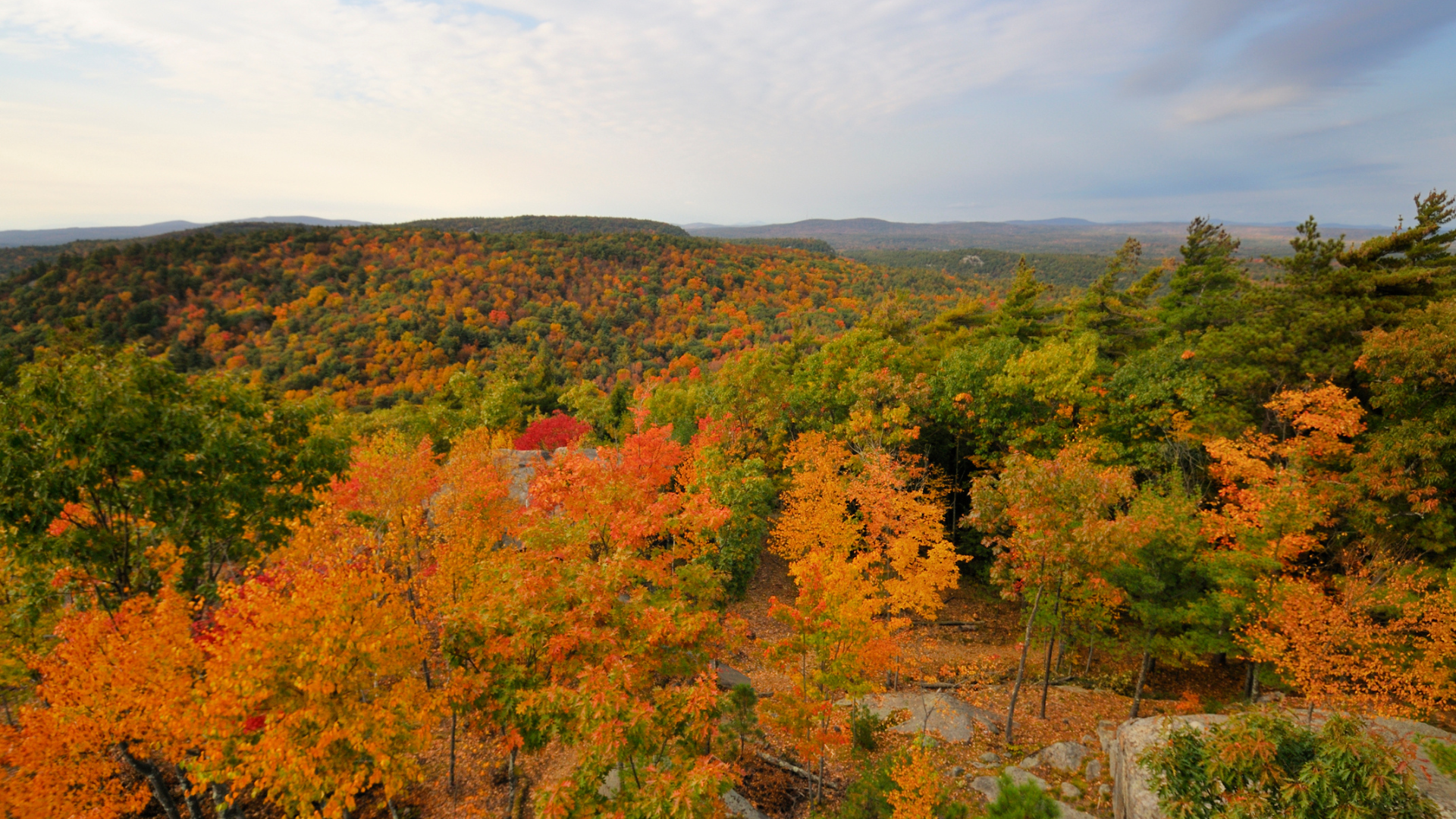 Leaf Peeping Season Photo