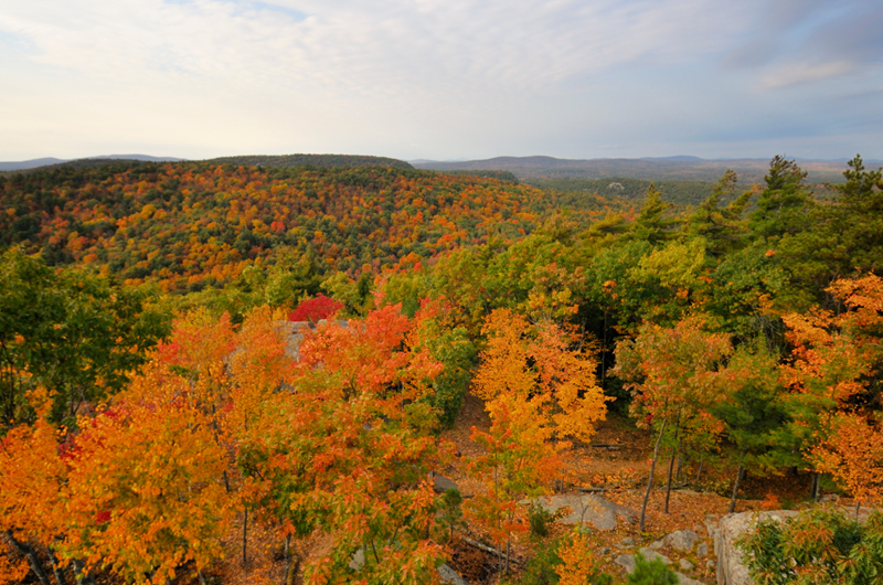 Leaf Peeping Season Photo