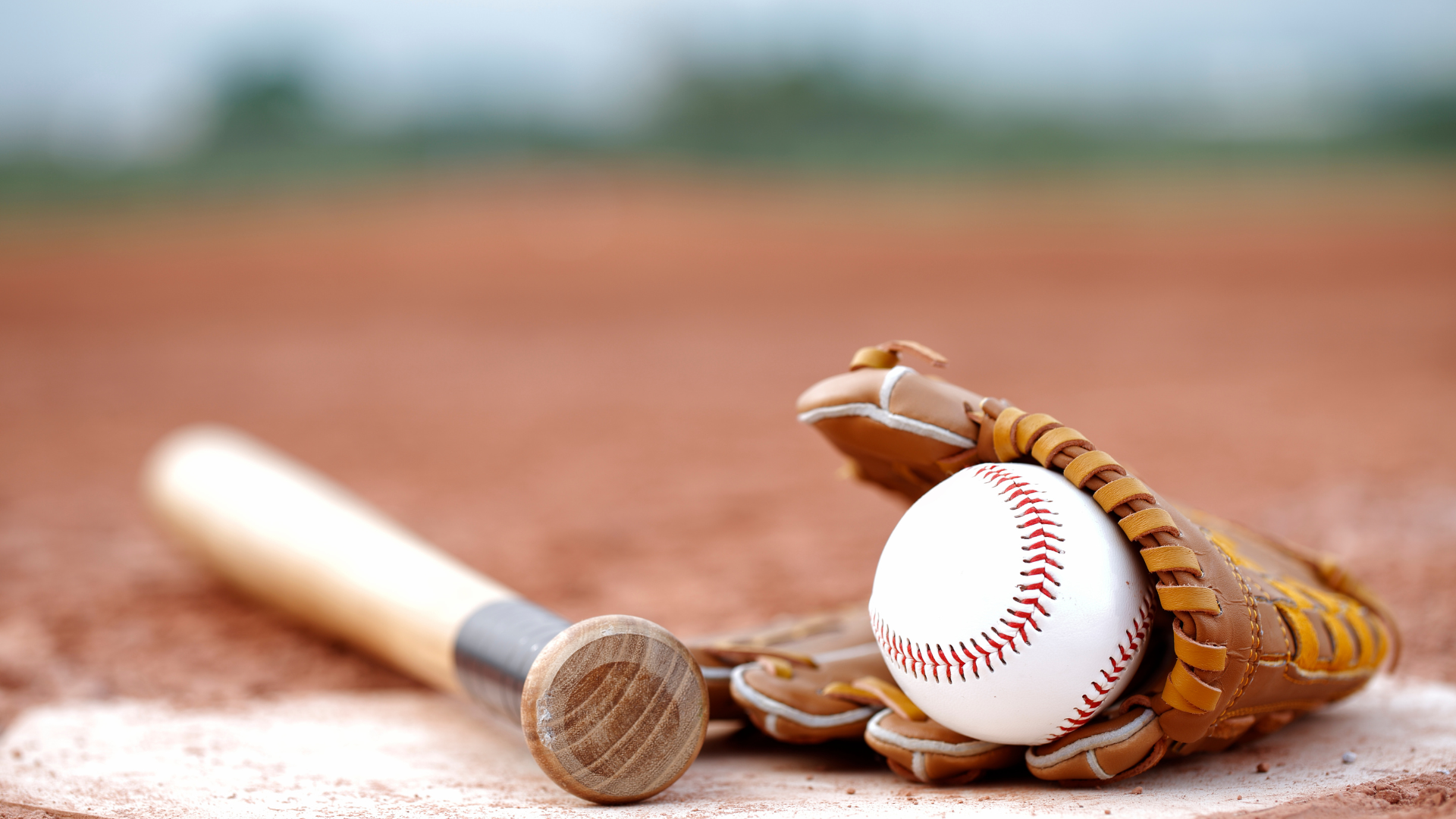 Baseball in Boston Photo