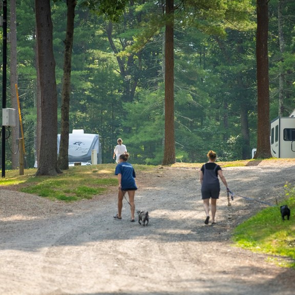 Plan a trip to Ledyard, Connecticut