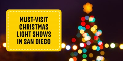 Must-Visit Christmas Light Shows in San Diego