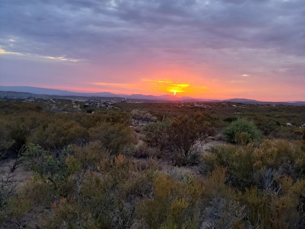 The Best Winter Hiking Spots in California Boulevard KOA