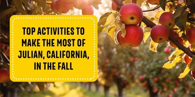 Top Activities to Make the Most of Fall in Julian, CA