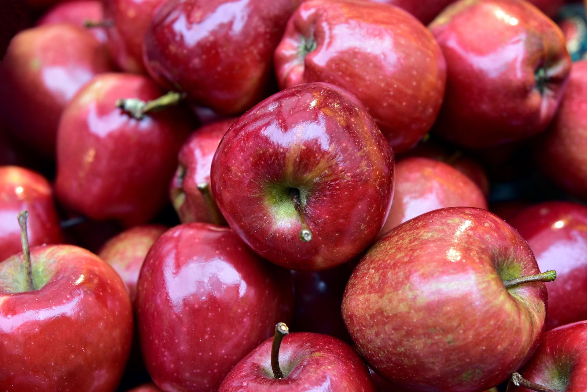 Julian Apple Season - Apple Picking & Fall Activities Photo