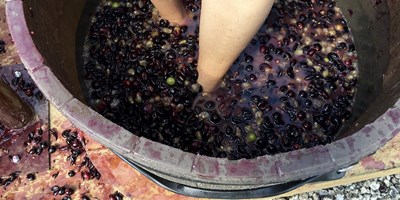 Julian Grape Stomp Festa - Annual